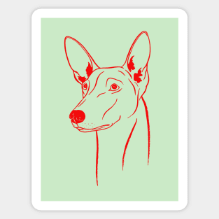 Pharaoh Hound (Light Olive and Red) Sticker